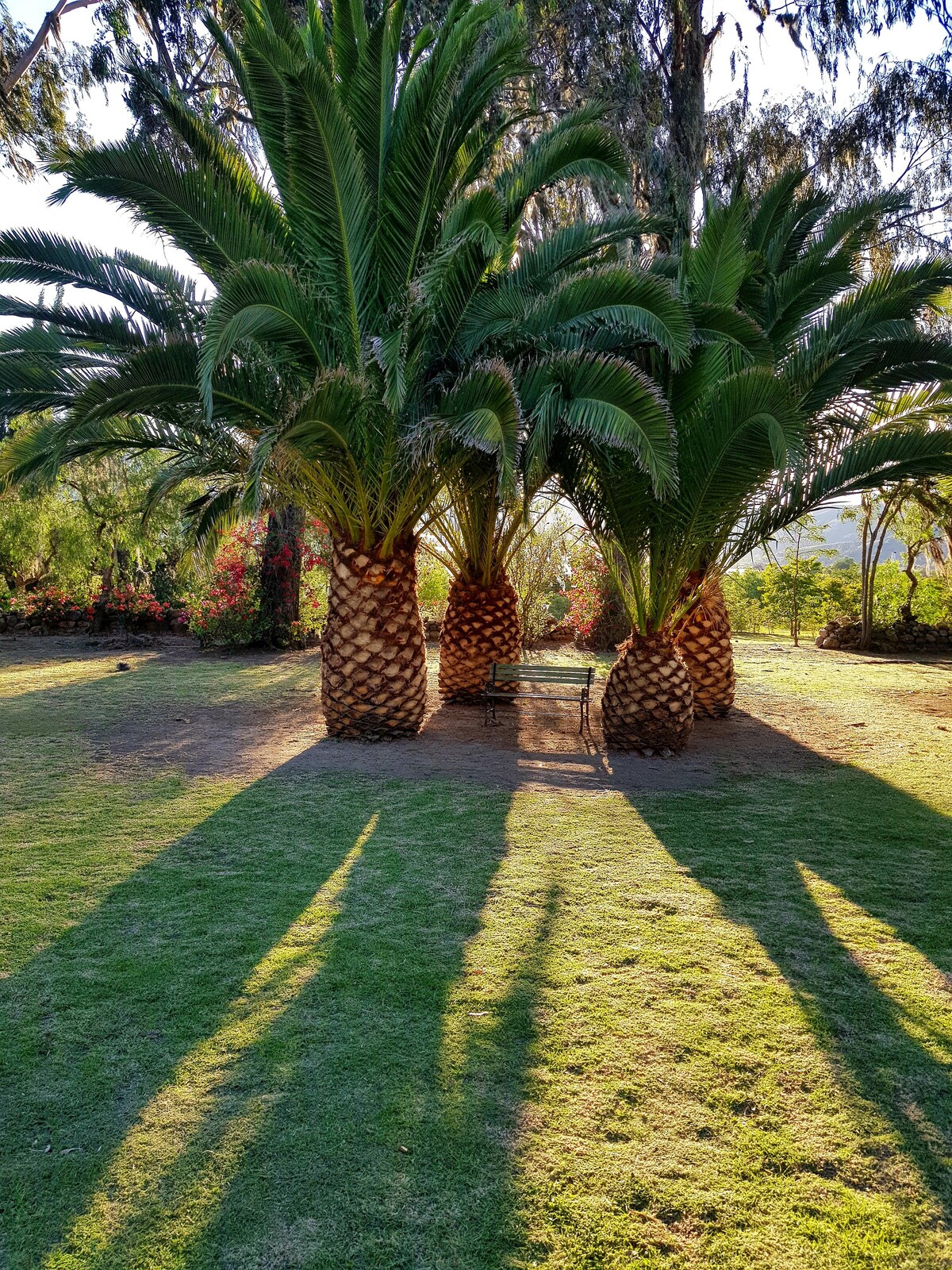 Cabaña del Carmen
Suite