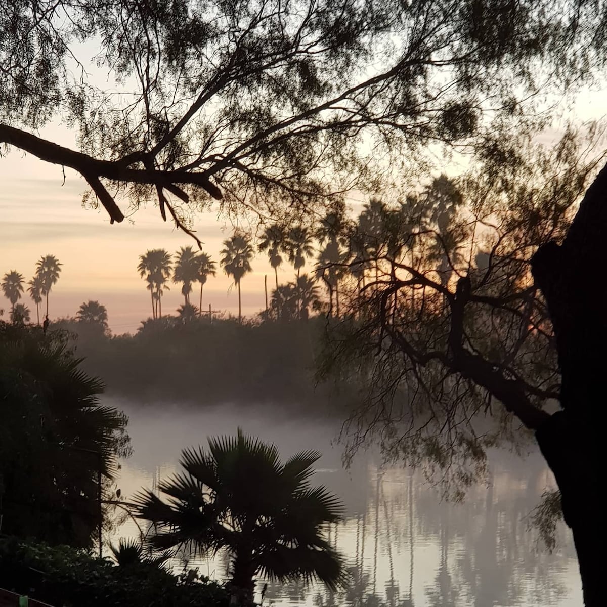 卓越@ PeculiarNest Lake Conception/RGV Birding