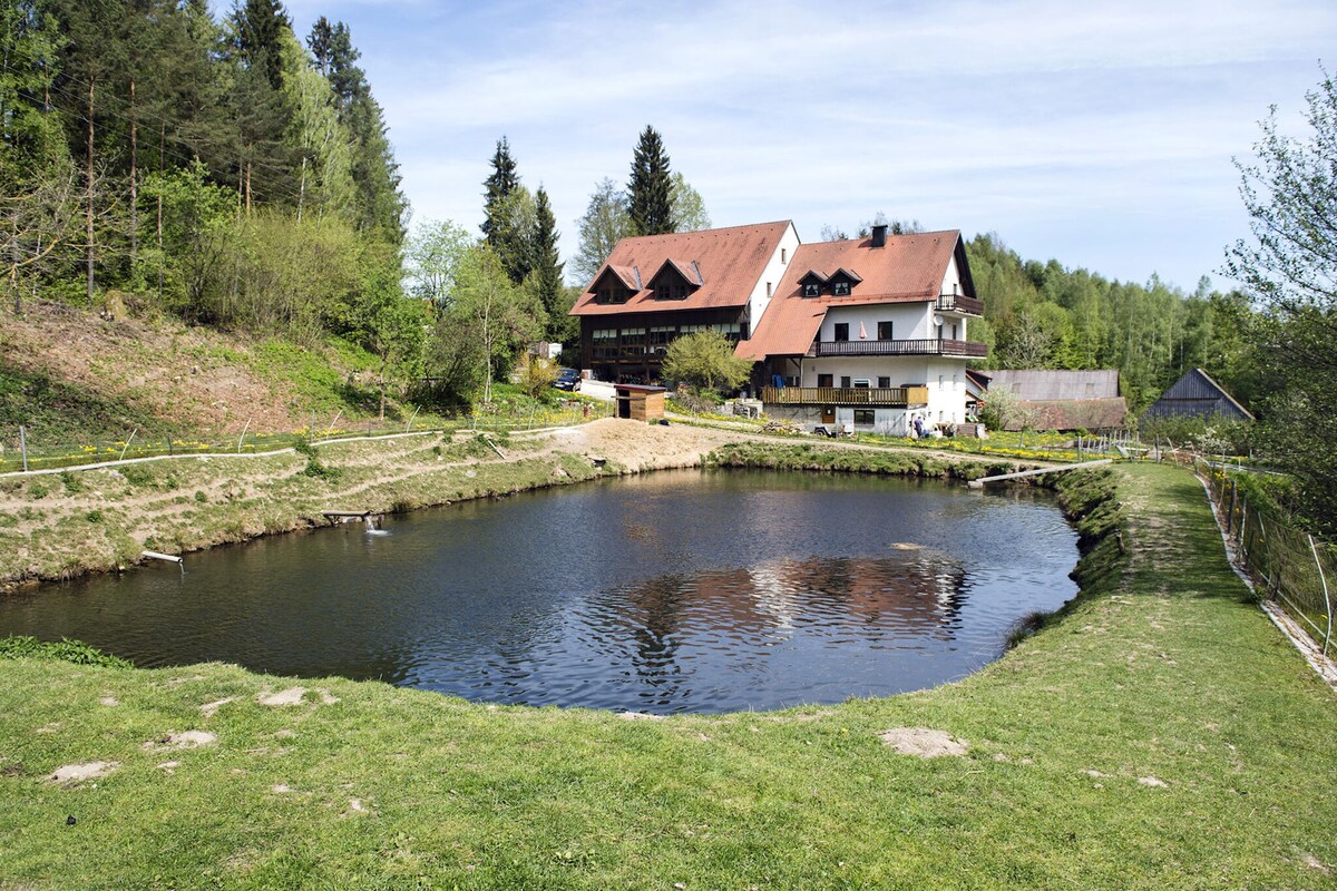 Holiday home in Palatinate with balcony