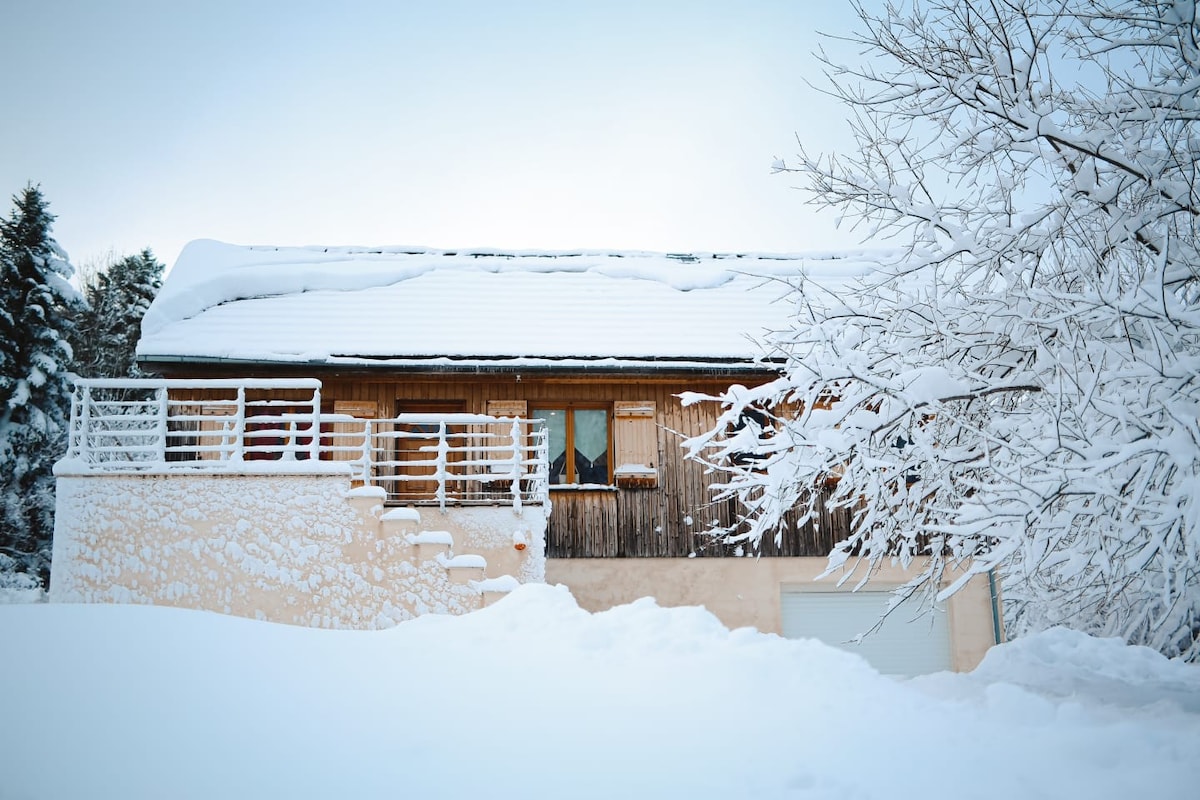 Chalet Loulou, Central Massif, Le Mont-Dore山脉