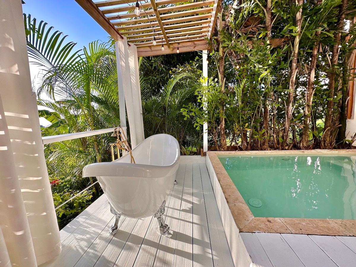 Private pool Suite & exterior tub @ Casa Florencia