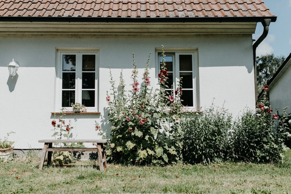 Ferienwohnung Gutshaus Krimvitz auf Rügen 1