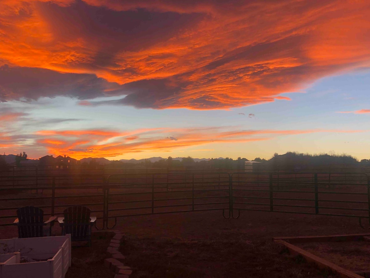 Alpaca, Emu and chicken farm 2 bed 1 bath