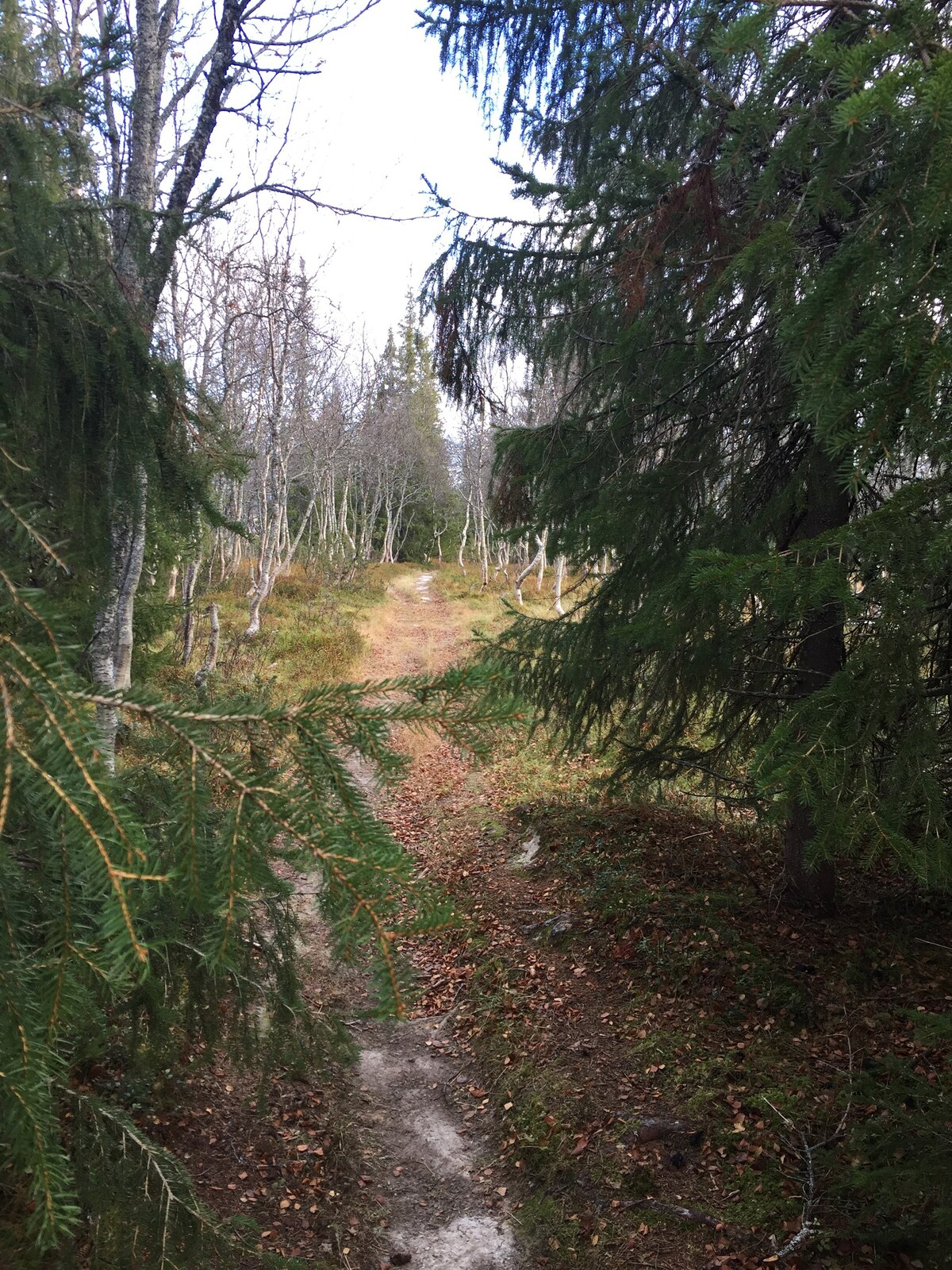 Trivelig totalrenovert stuga,hytte på fjellet