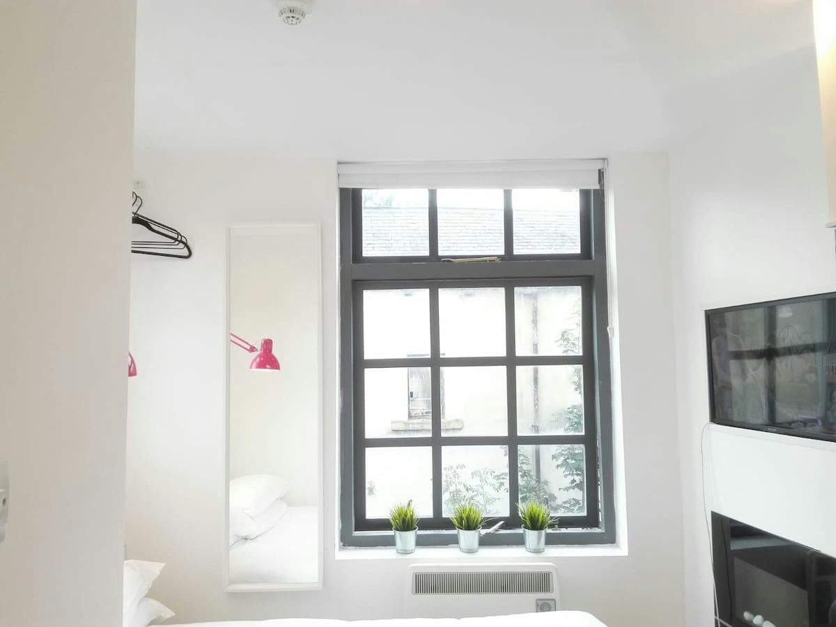 利兹LS6的「玫瑰花蕾」自给自足的单间公寓