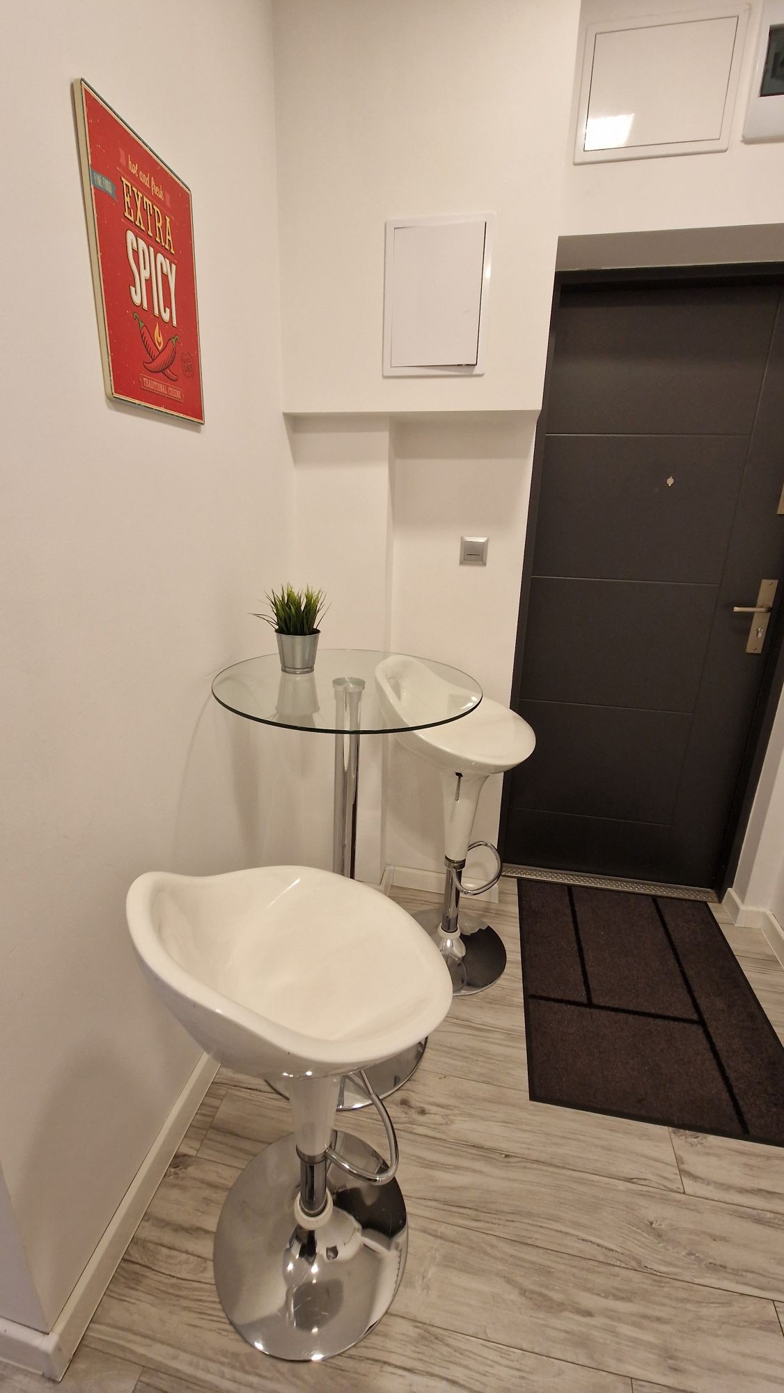 Apartament przy Tramwaju z minionej Epoki