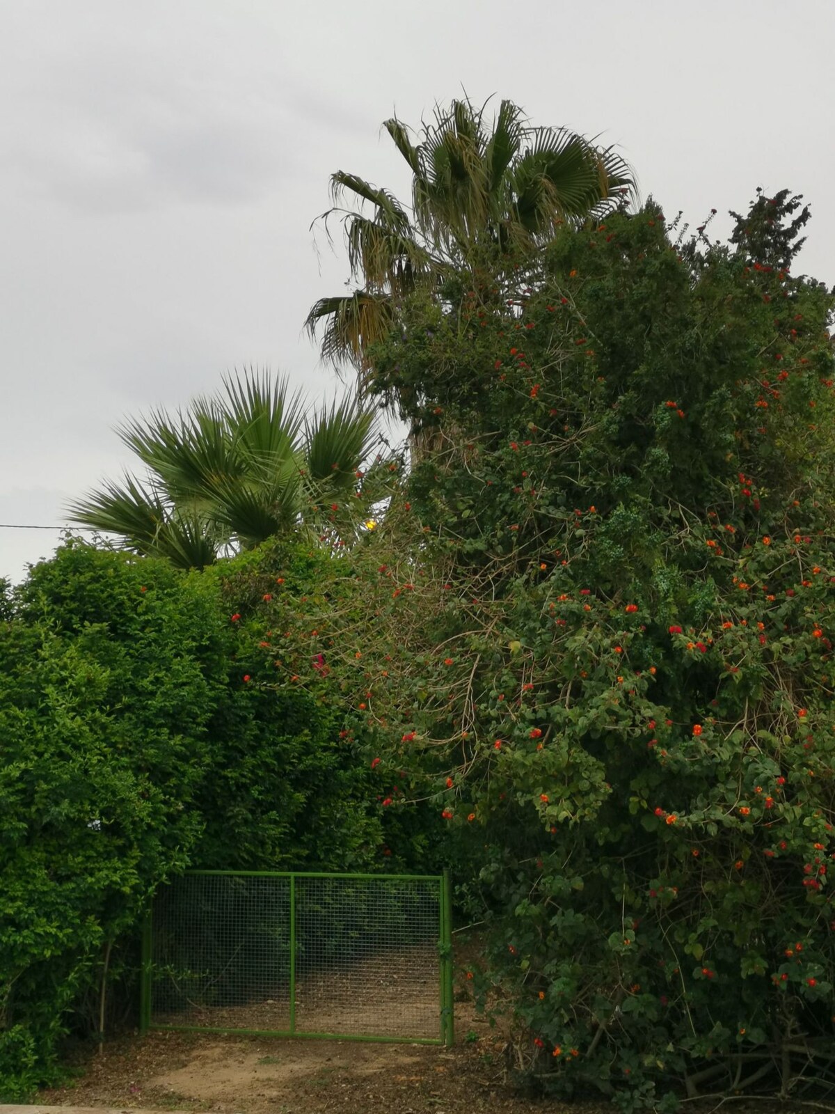 Villa jardin fleuri et arboré