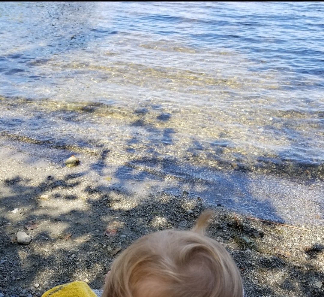 Cozy waterfront camp, loons!