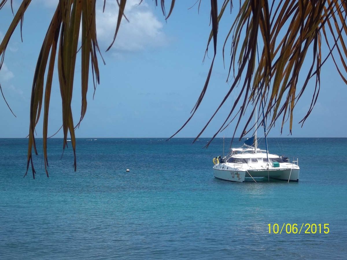 Cabin/s for rent on Luxury Yacht - Canouan
