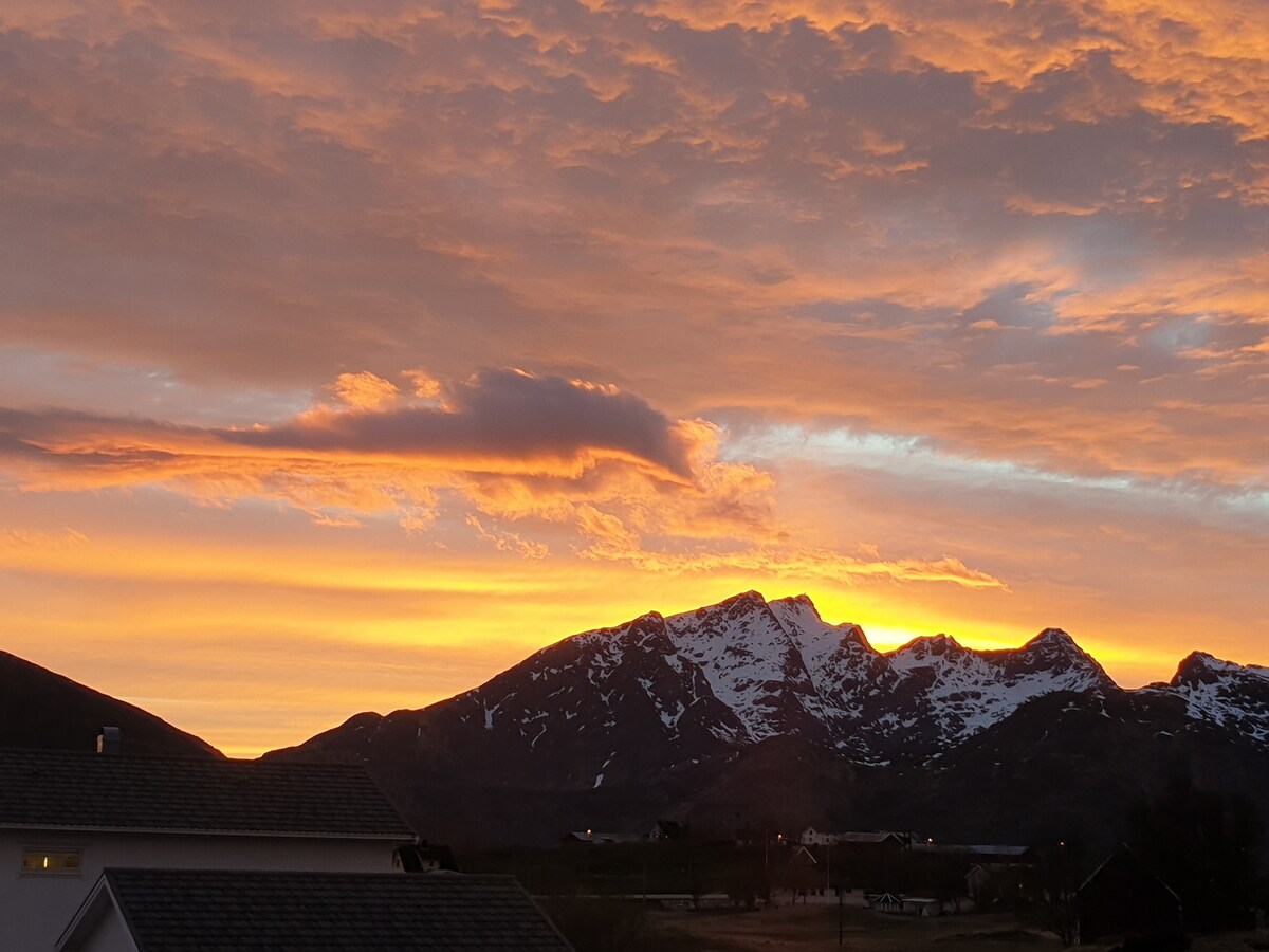 Enebolig midt i Lofoten