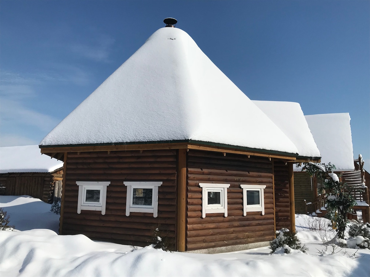 基辅附近的ECO HOUSE