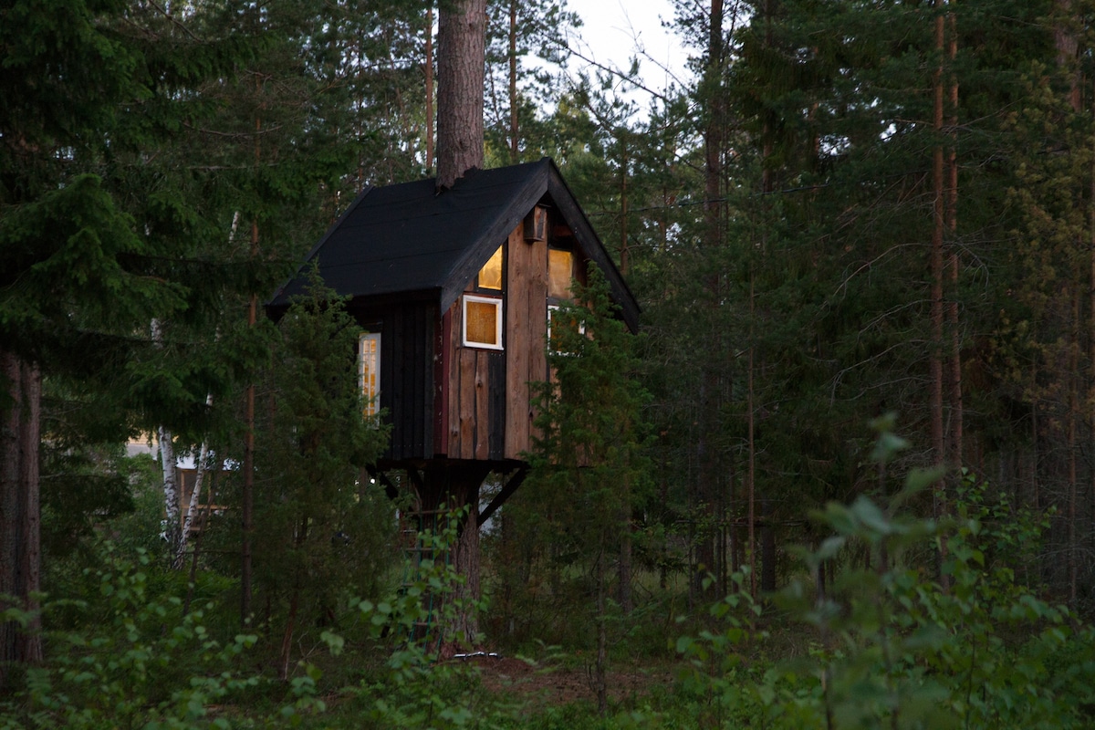 Pine Top Tree House