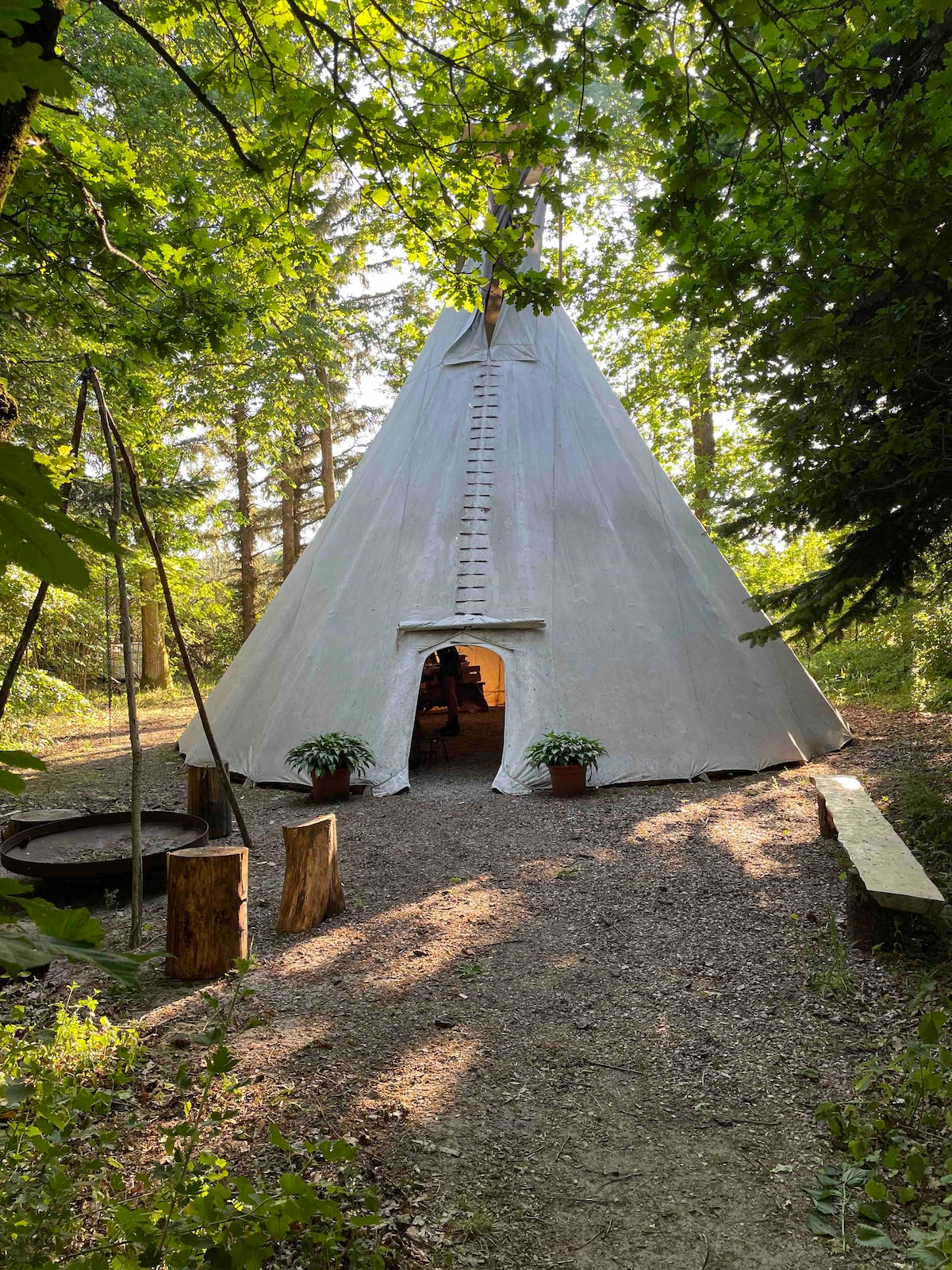 Dejlig tipi med bålsted og vildmarkssauna