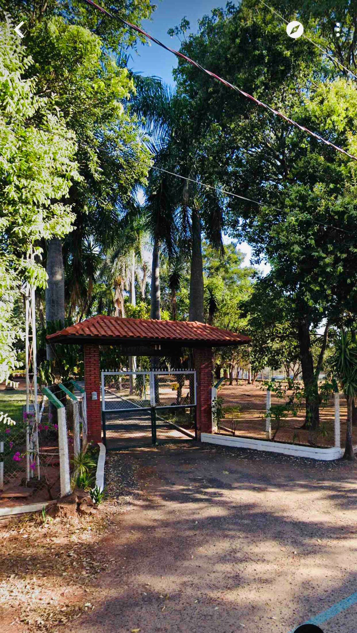 Chácara Palmeira in Araçatuba-SP