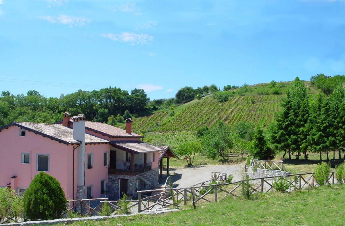 波利诺公园（ Pollino Park ）的宁静和放松体验