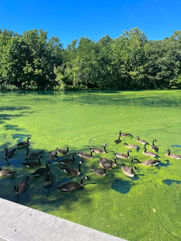 盖瑟斯堡(Gaithersburg)的民宿