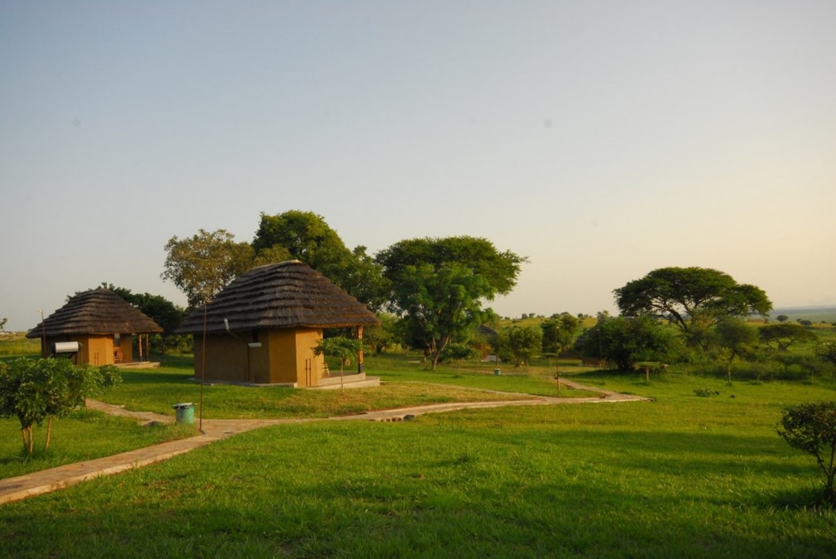 Bwana Tembo野生动物园（ Bwana Tembo Safari Camp ）坐拥河景