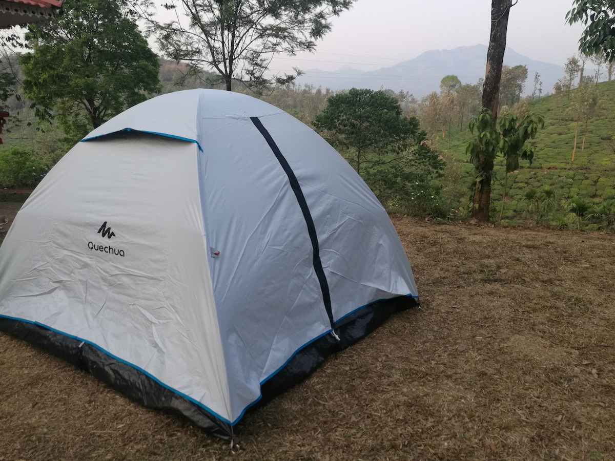 Green garden Tents