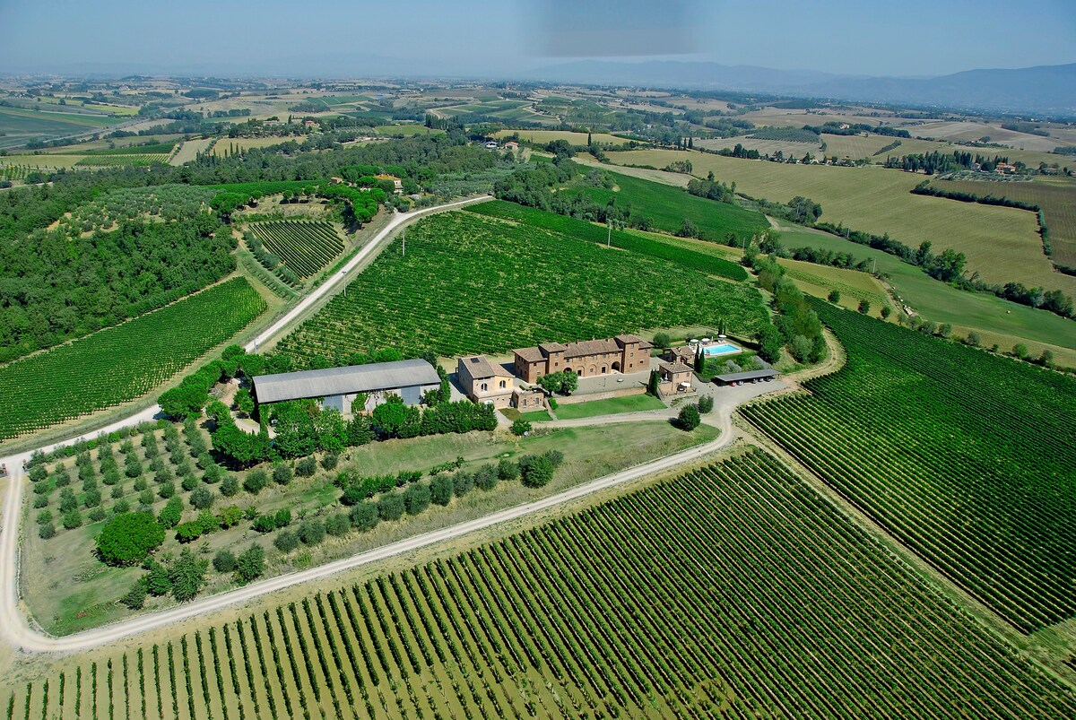 Winefarm Tuscany |带泳池的农舍| Casa Rosa