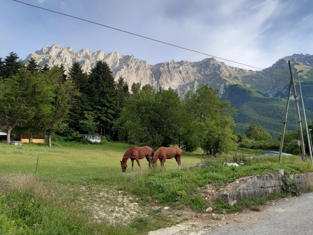 Dimora Monte Camicia