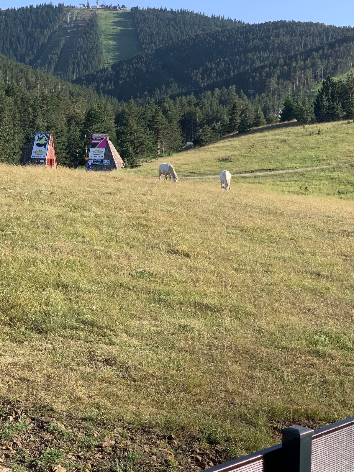 NG Apartmani Tornik Zlatibor