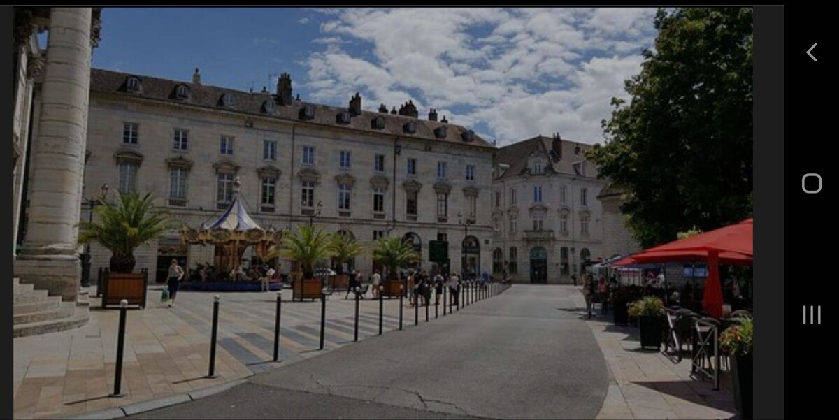 位于贝桑松（ Besançon ）市中心：精品公寓