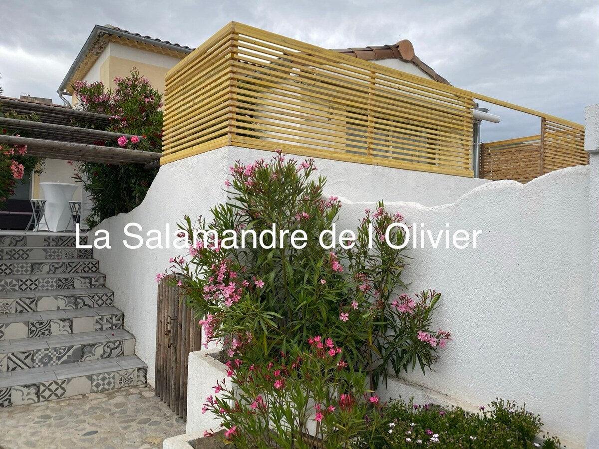 Le Cerisier 4 * - Salamandre de l 'Olivier