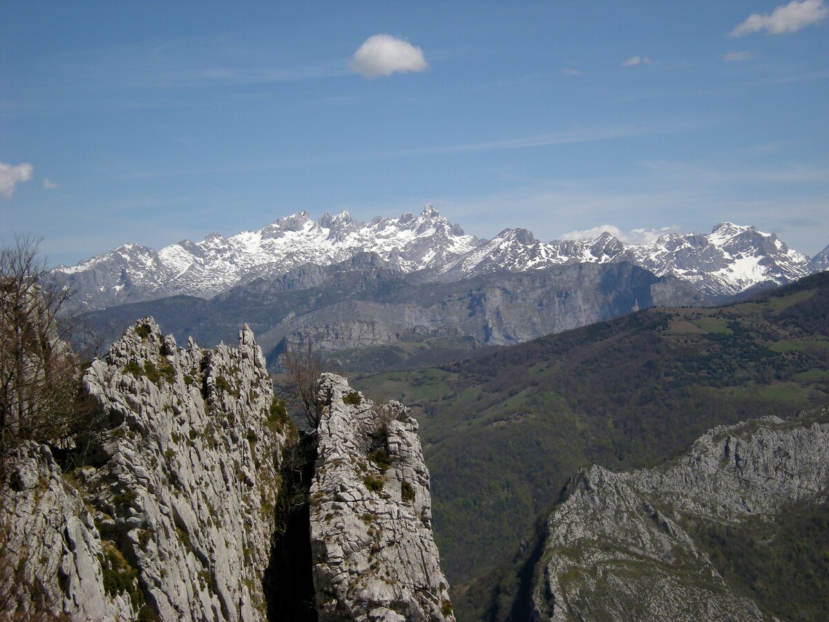 Claudia 's Horrín in Ponga自然公园