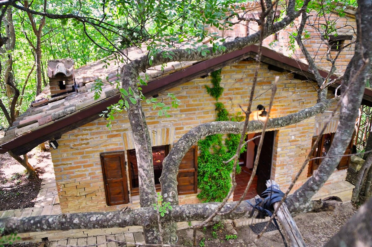 MARCHE CHALETS in THE SARNANO Woods