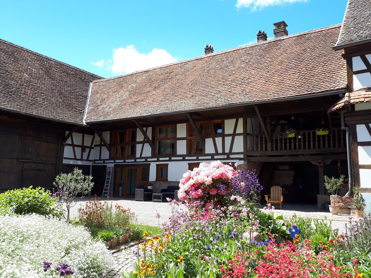 Chambre d 'Hôtes Au Jardin Fleuri - Alsace (2)