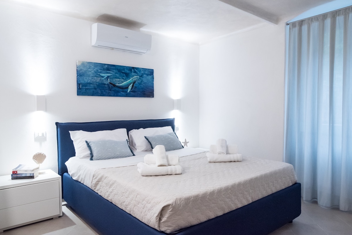 330 Holiday Apartments Manarola - Blue