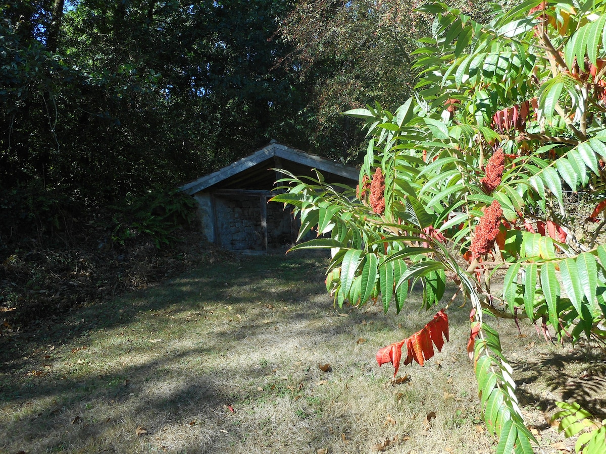 Puy du Fou和Marais之间的9人小屋