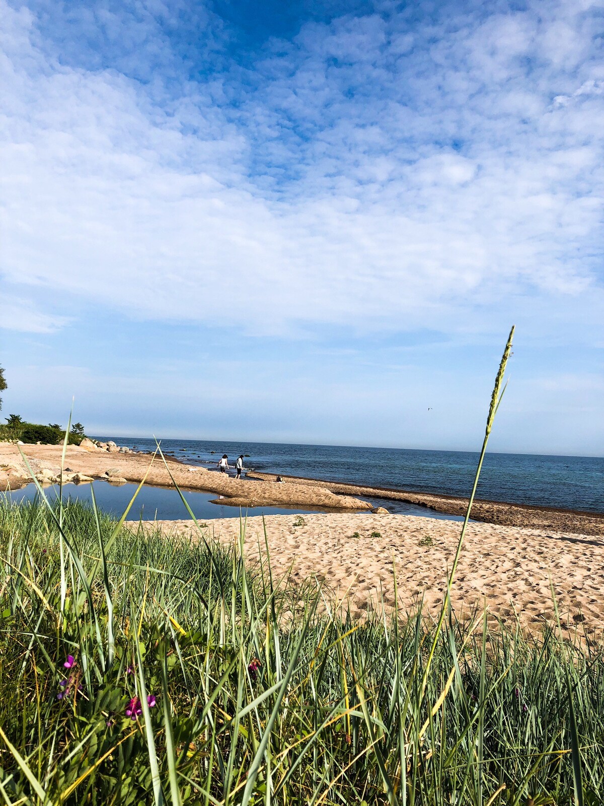 Unikt boende vid stranden i Svarte / Ystad