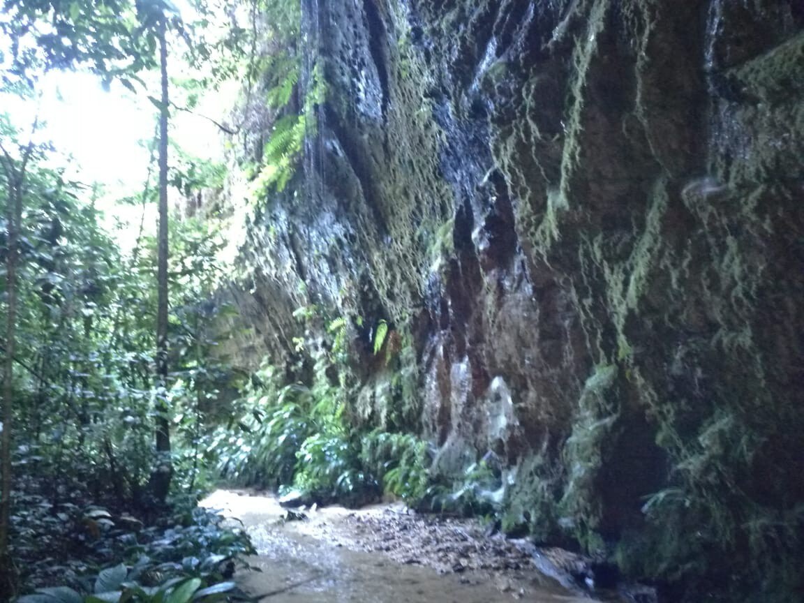 Deja que la magia de la amazonia TOQUE TU ALMA.