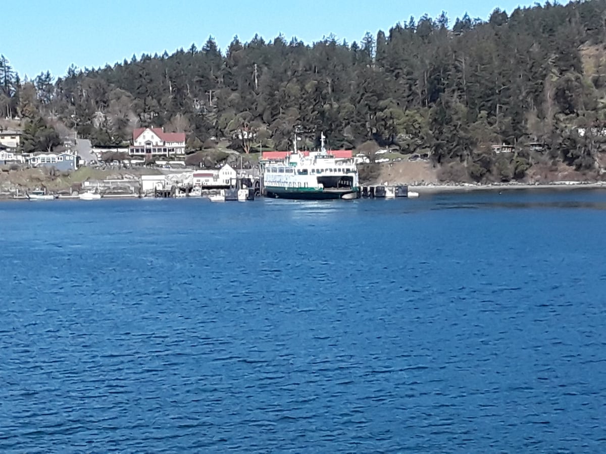 "Osprey Nest" on Magical Orcas Island, Eastsound!