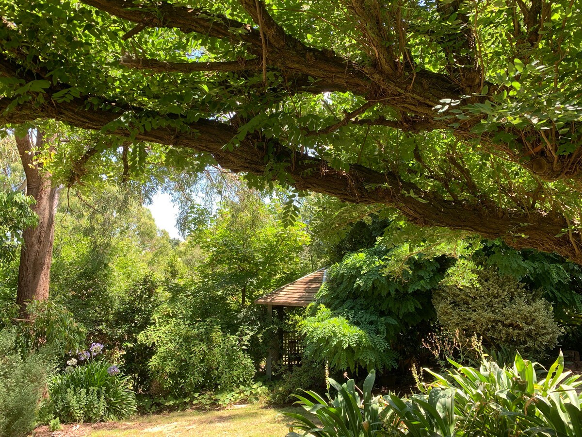 壮观的亚拉谷（ Yarra Valley ）酿酒厂、酿酒厂。