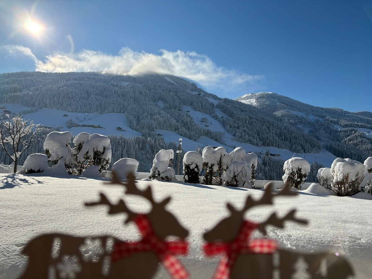 Alpbach: Schmetterling 1,Idylle, traumhafter Blick