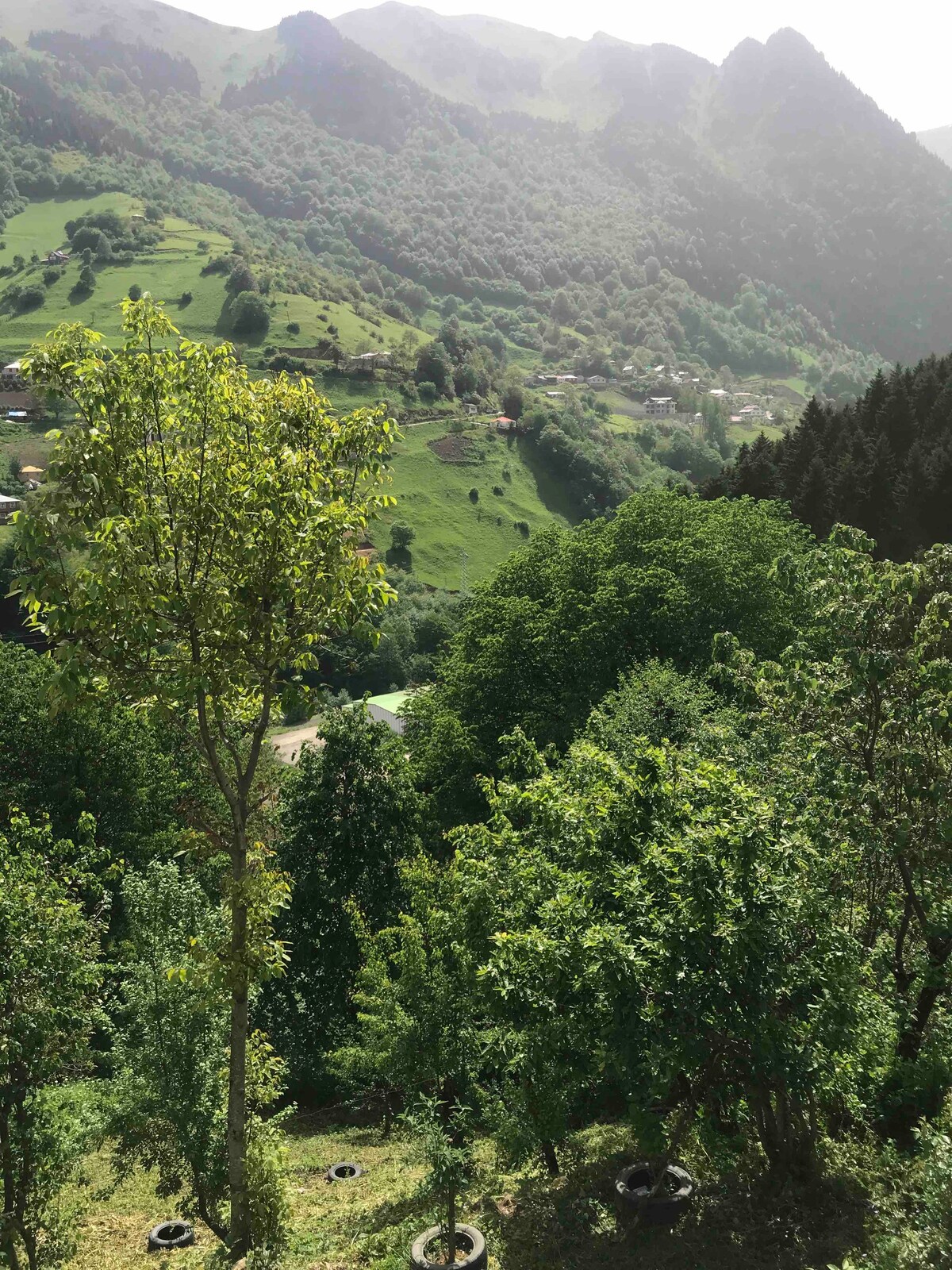 Maçka Hamsiköy Çıralı Mahallesi