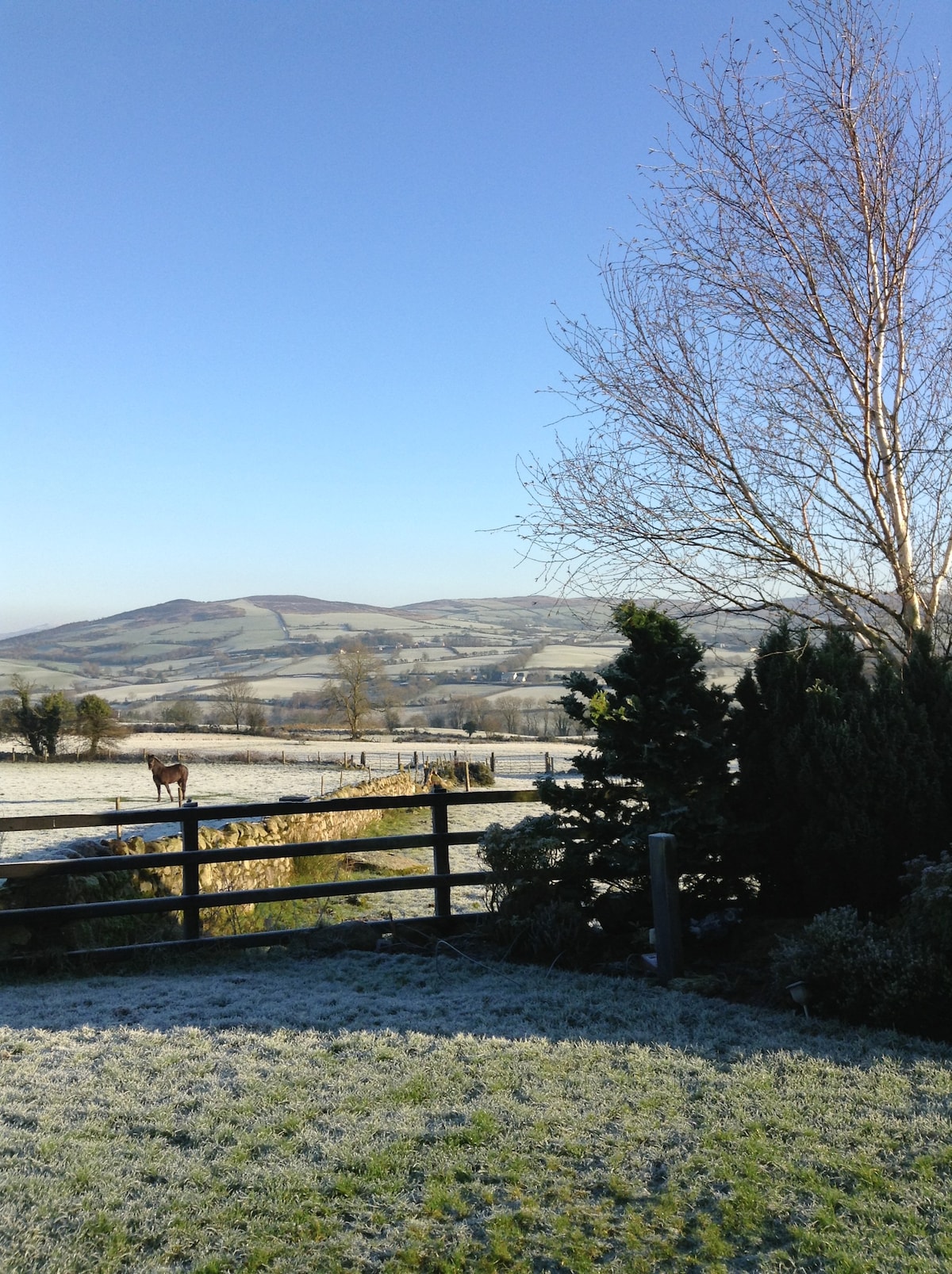 Arney Lodge Farm