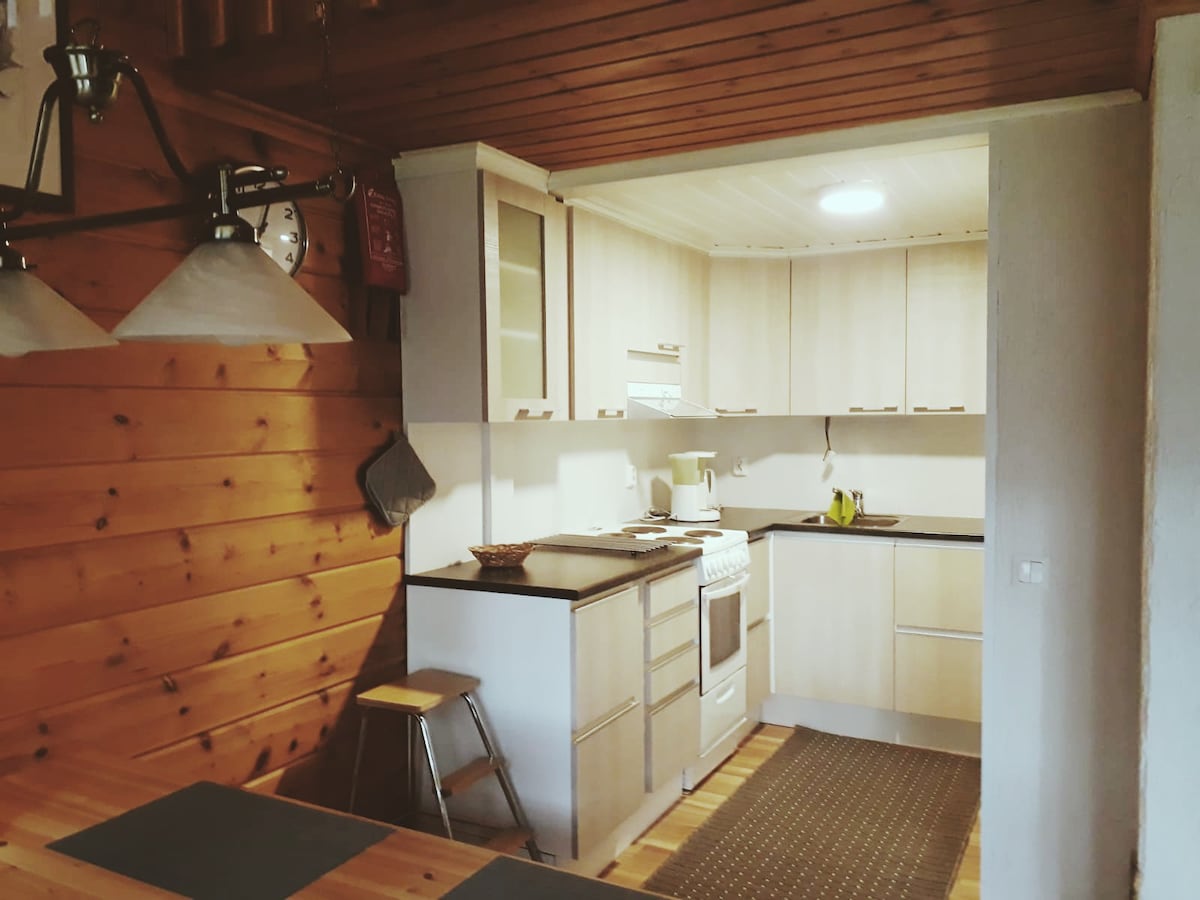 Cozy cabin with a sauna in Levi