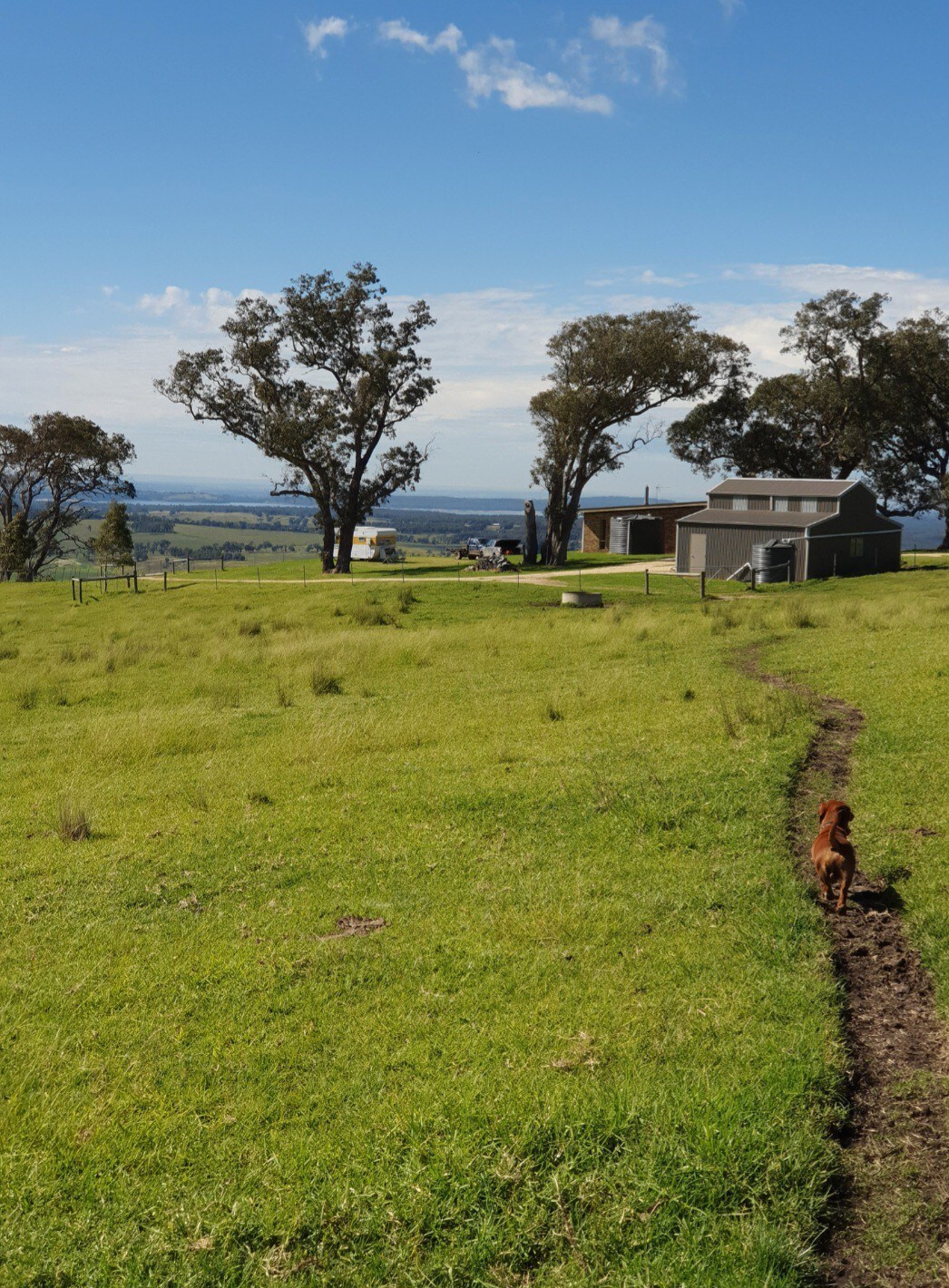 Gippsland Hilltop Hideaway小屋/营地，最多20人