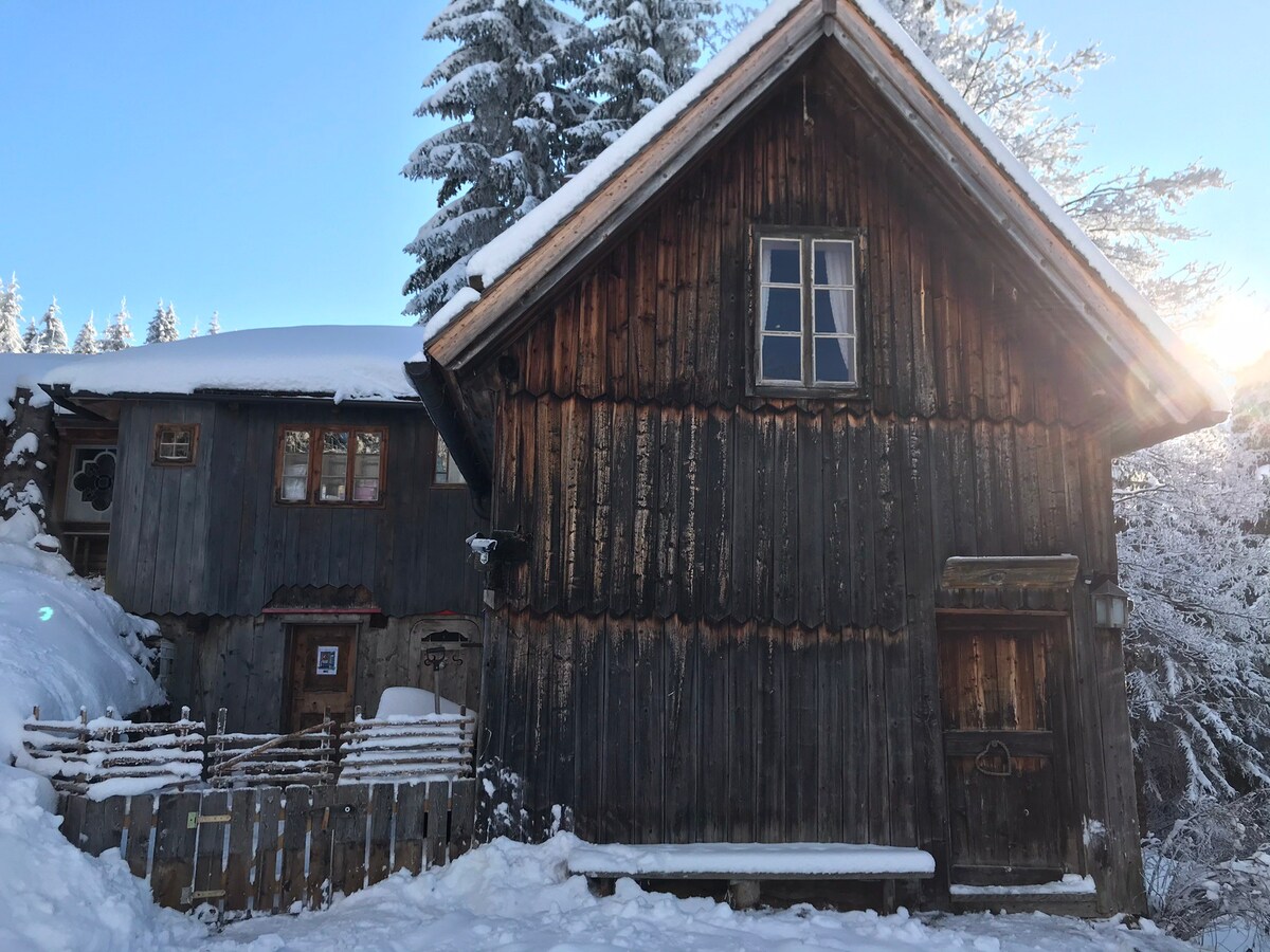 适合动物和自然爱好者的乡村高山小屋