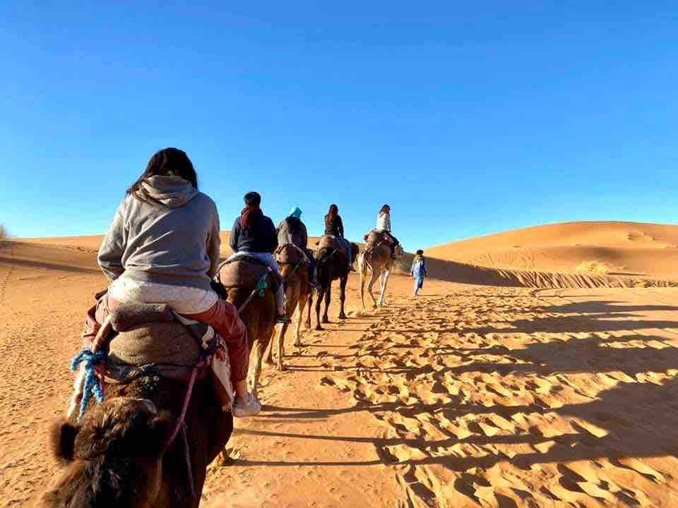 Sahara desert camel tours