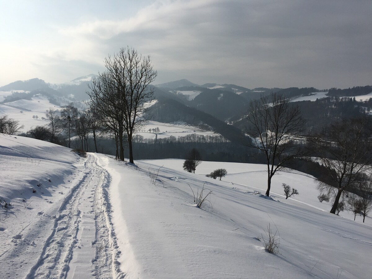 Ferienhaus Hochbrand