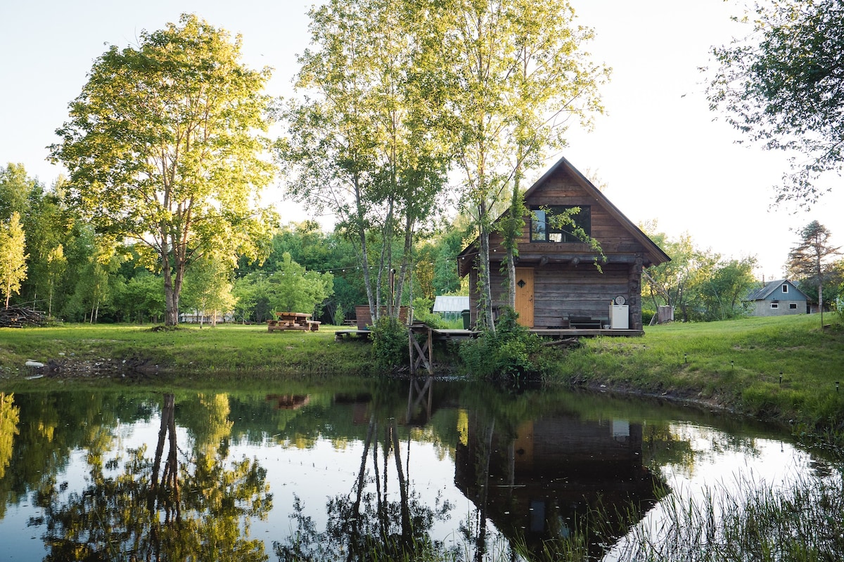 Paluküla Saunas and Glamping