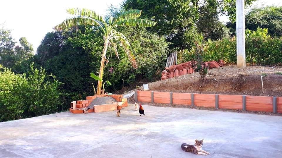 Casa Campestre en Zarzal Valle del Cauca