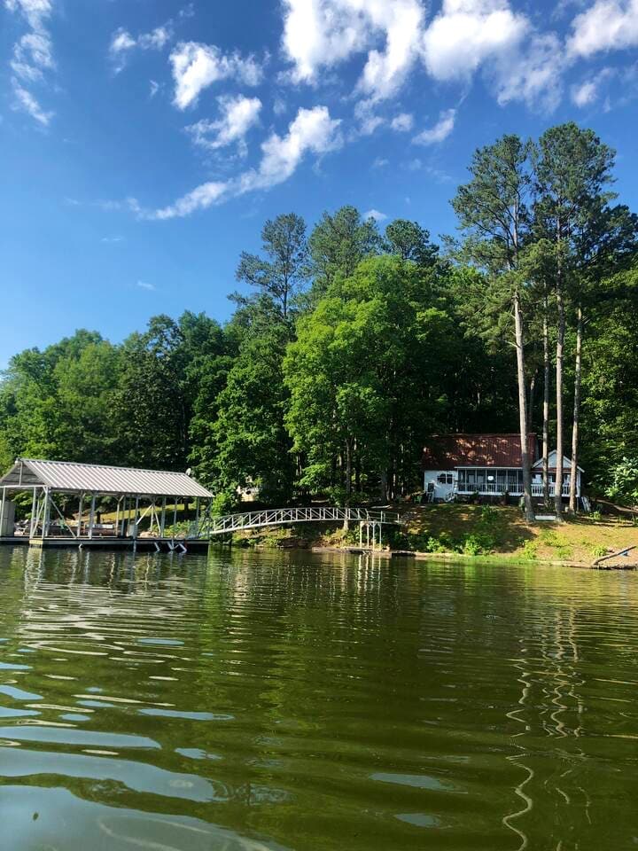 Eagles Nest on Smith Lake, teaming with wild life!