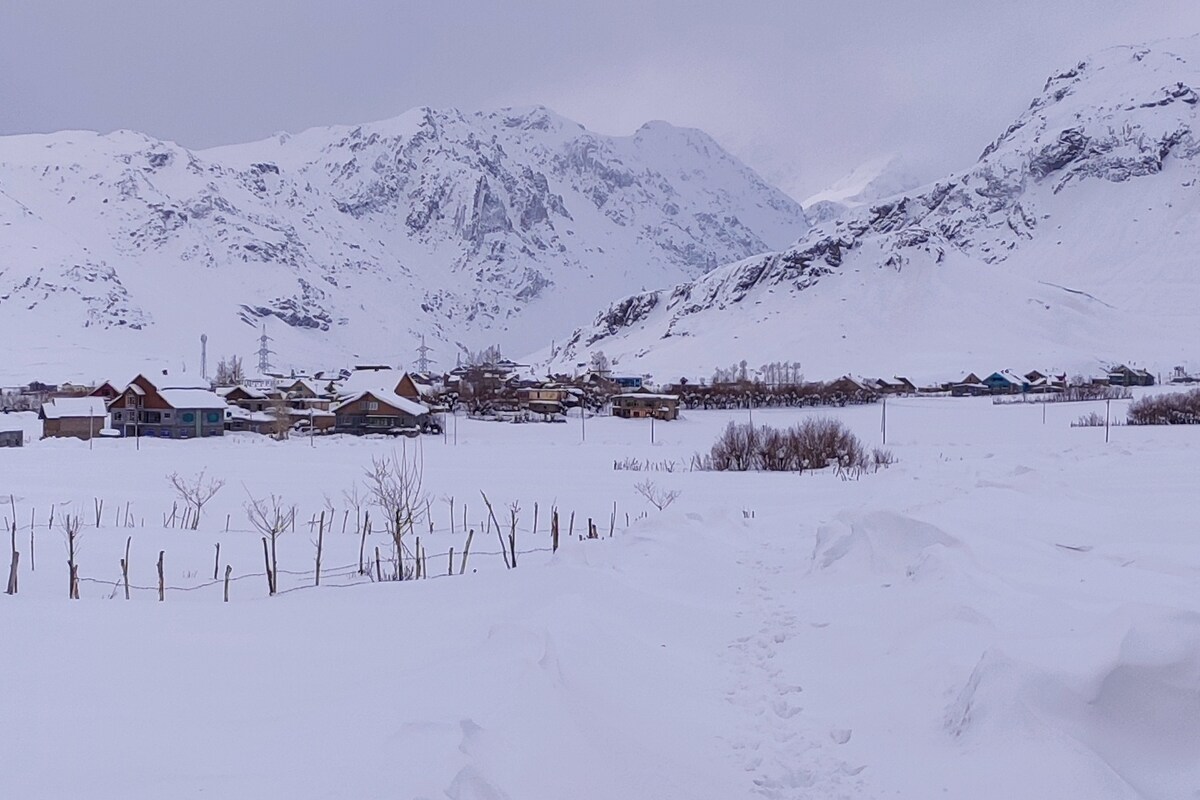 Little Brown Hut - Homestay in Drass valley