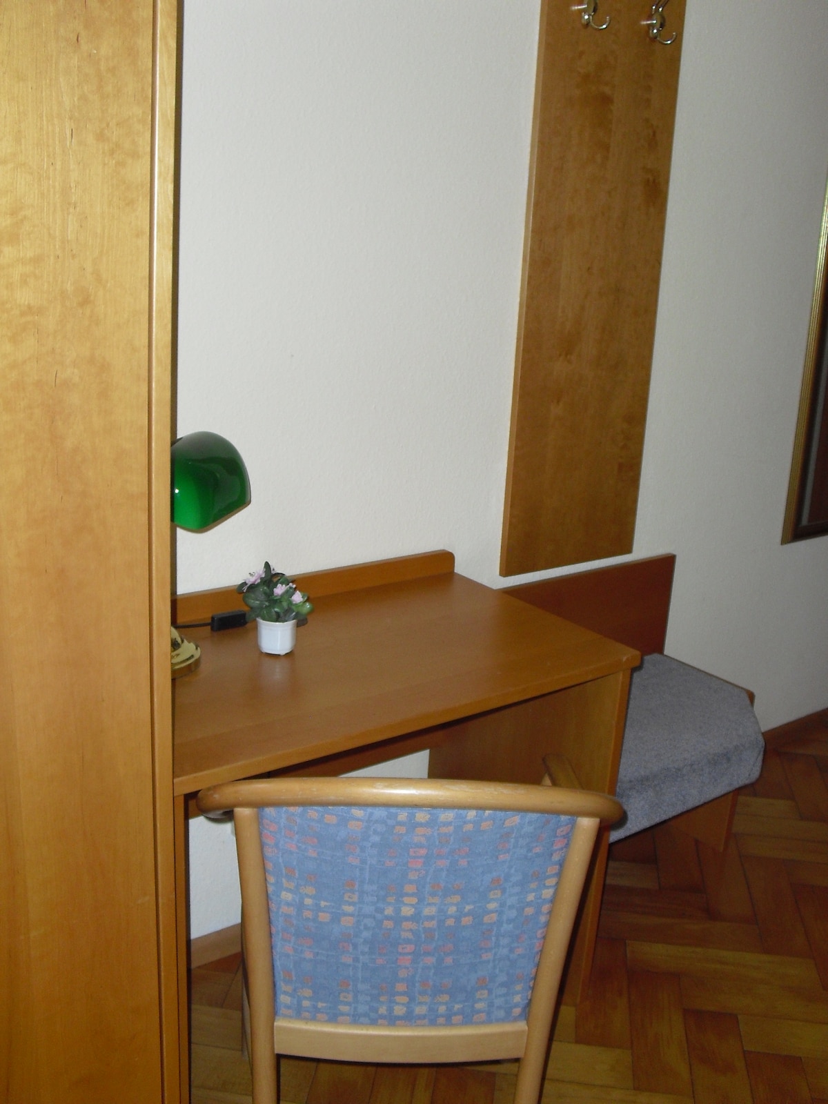 Gasthaus zur Schnecke - Einzelzimmer mit Bad (Dusche/WC), TV, Free Wifi, Schrank, Schreibtisch