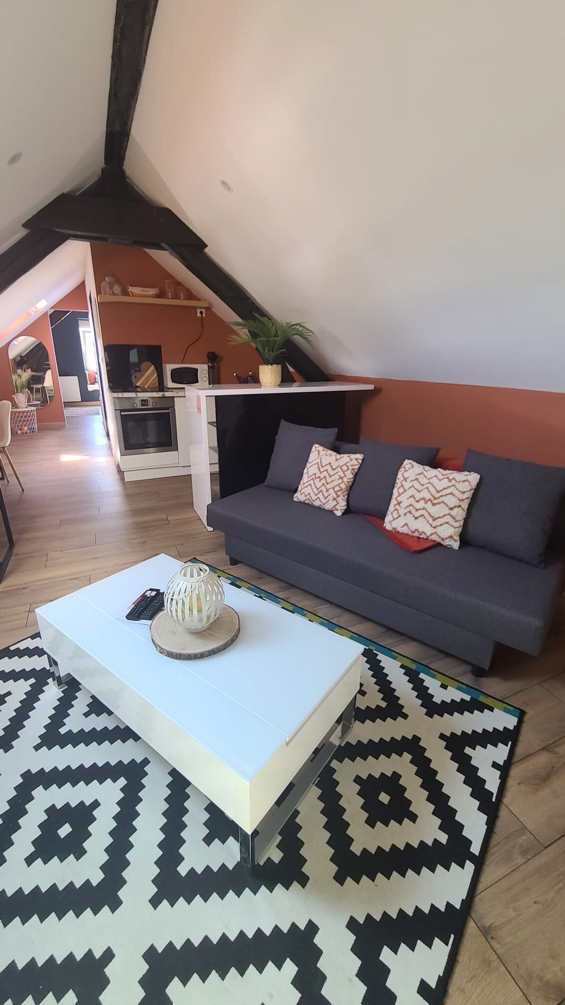 Appartement de 50m² cosy et bien aménagé